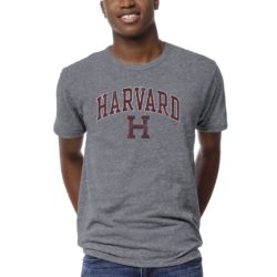 Harvard Crimson Heather Gray 1965 Victory Falls T-Shirt